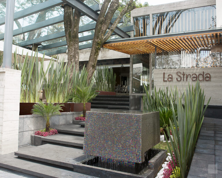 Entrada 02 La Estrada Restaurante Italiano en Ciudad de México